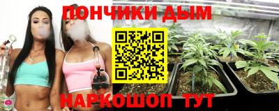 apvp Нарткала