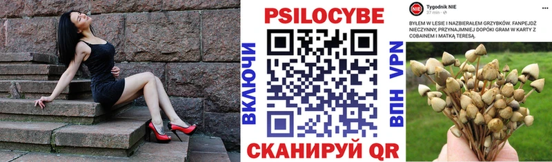Псилоцибиновые грибы ЛСД Волоколамск