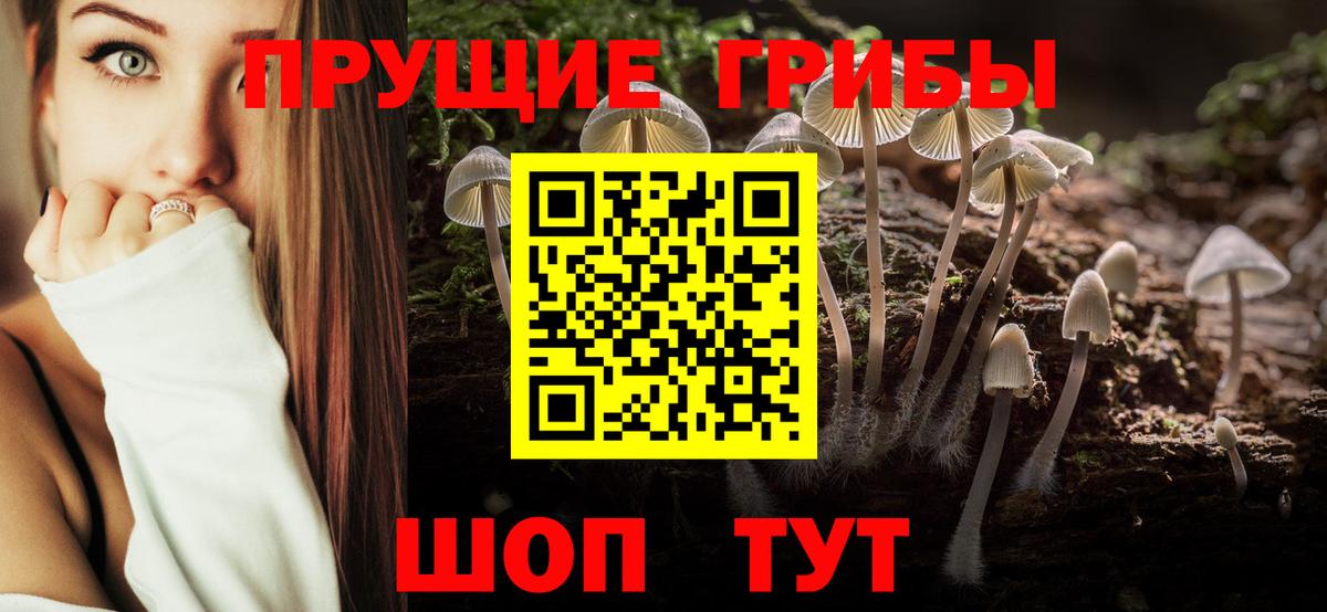 Псилоцибиновые грибы ЛСД Волоколамск