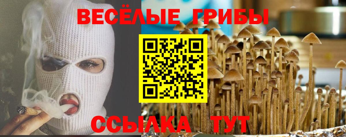 Псилоцибиновые грибы ЛСД  Галлюциногенные грибы Psilocybe  Волоколамск  Вход с VPN 