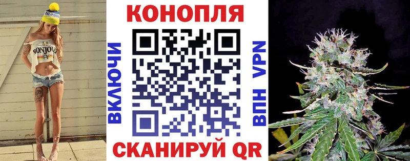 Шишки марихуана ГИДРОПОН Волоколамск